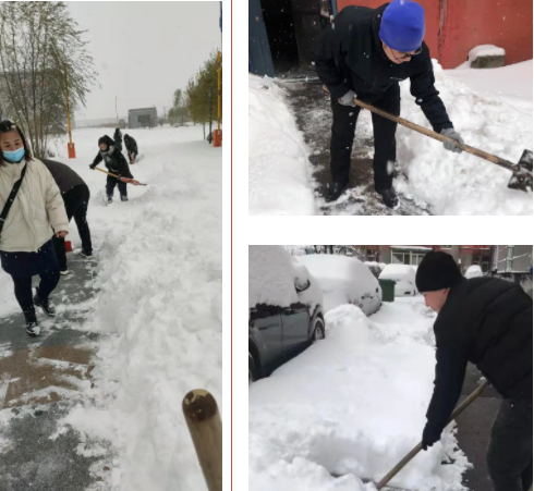 9001cc金沙以诚为本(中国)有限公司官网