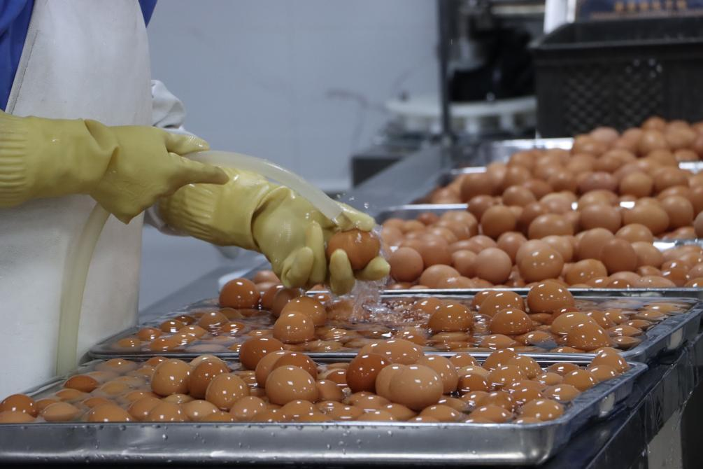 9001cc金沙以诚为本(中国)有限公司官网