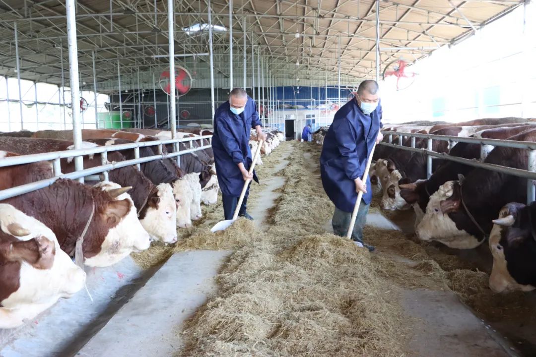 9001cc金沙以诚为本(中国)有限公司官网