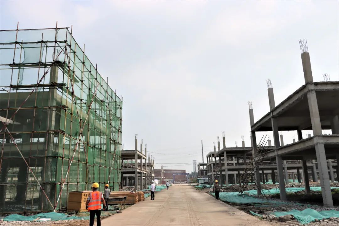 9001cc金沙以诚为本(中国)有限公司官网