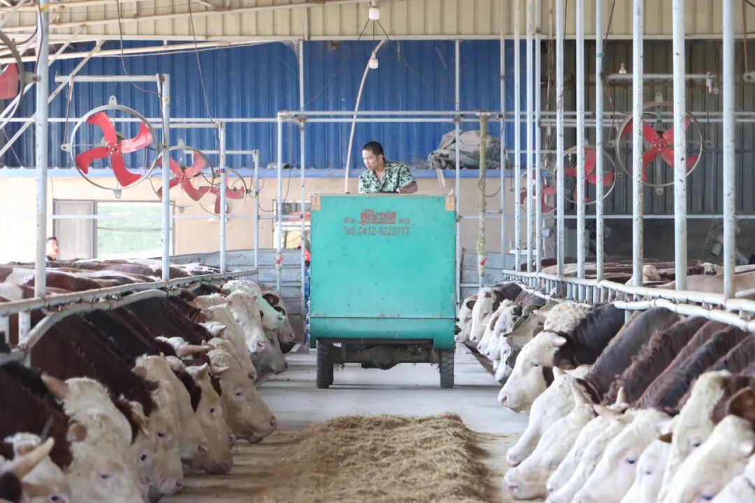 9001cc金沙以诚为本(中国)有限公司官网