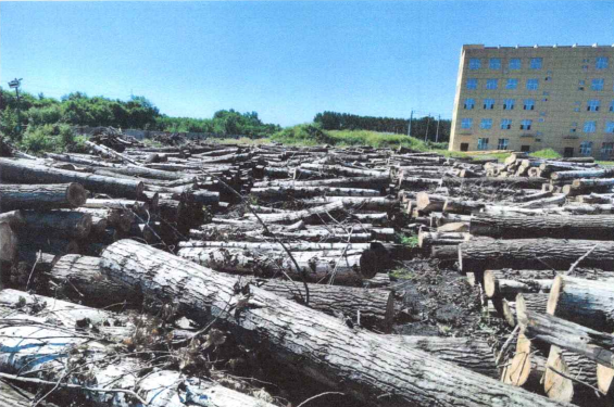 9001cc金沙以诚为本(中国)有限公司官网