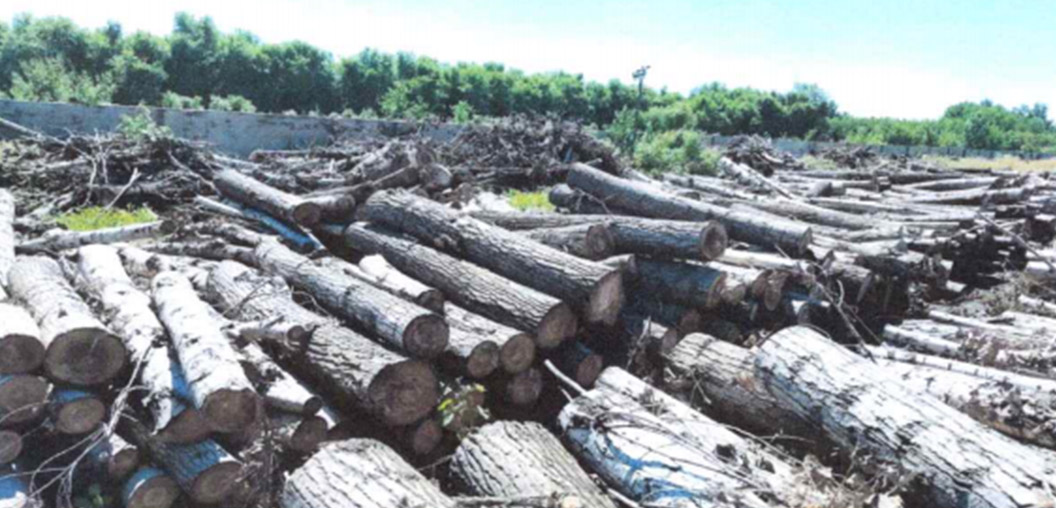 9001cc金沙以诚为本(中国)有限公司官网