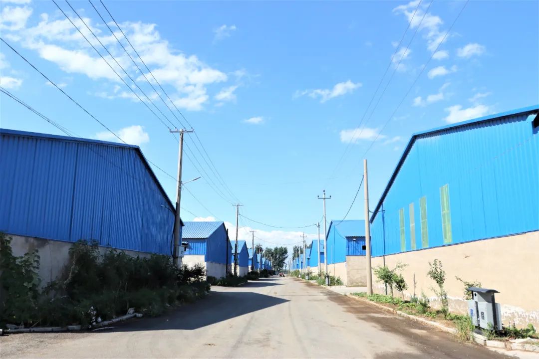 9001cc金沙以诚为本(中国)有限公司官网