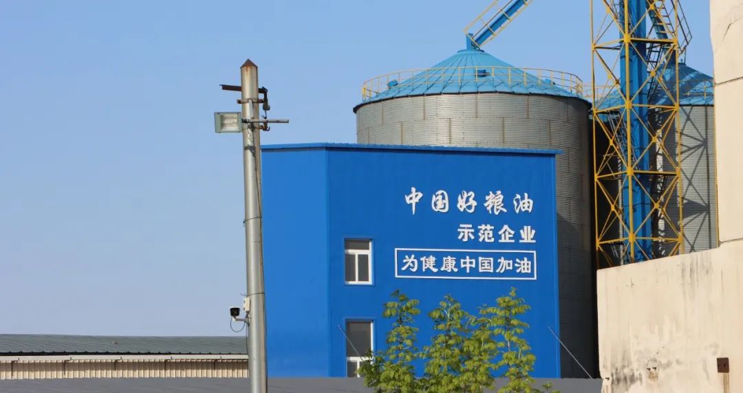 9001cc金沙以诚为本(中国)有限公司官网