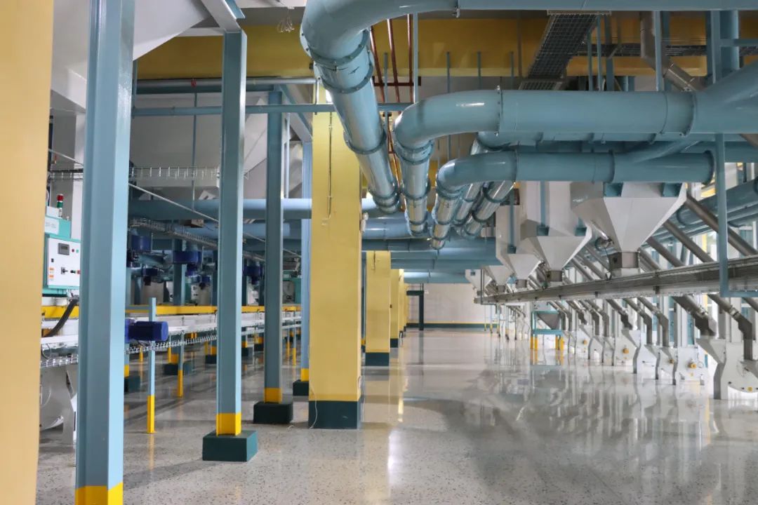 9001cc金沙以诚为本(中国)有限公司官网