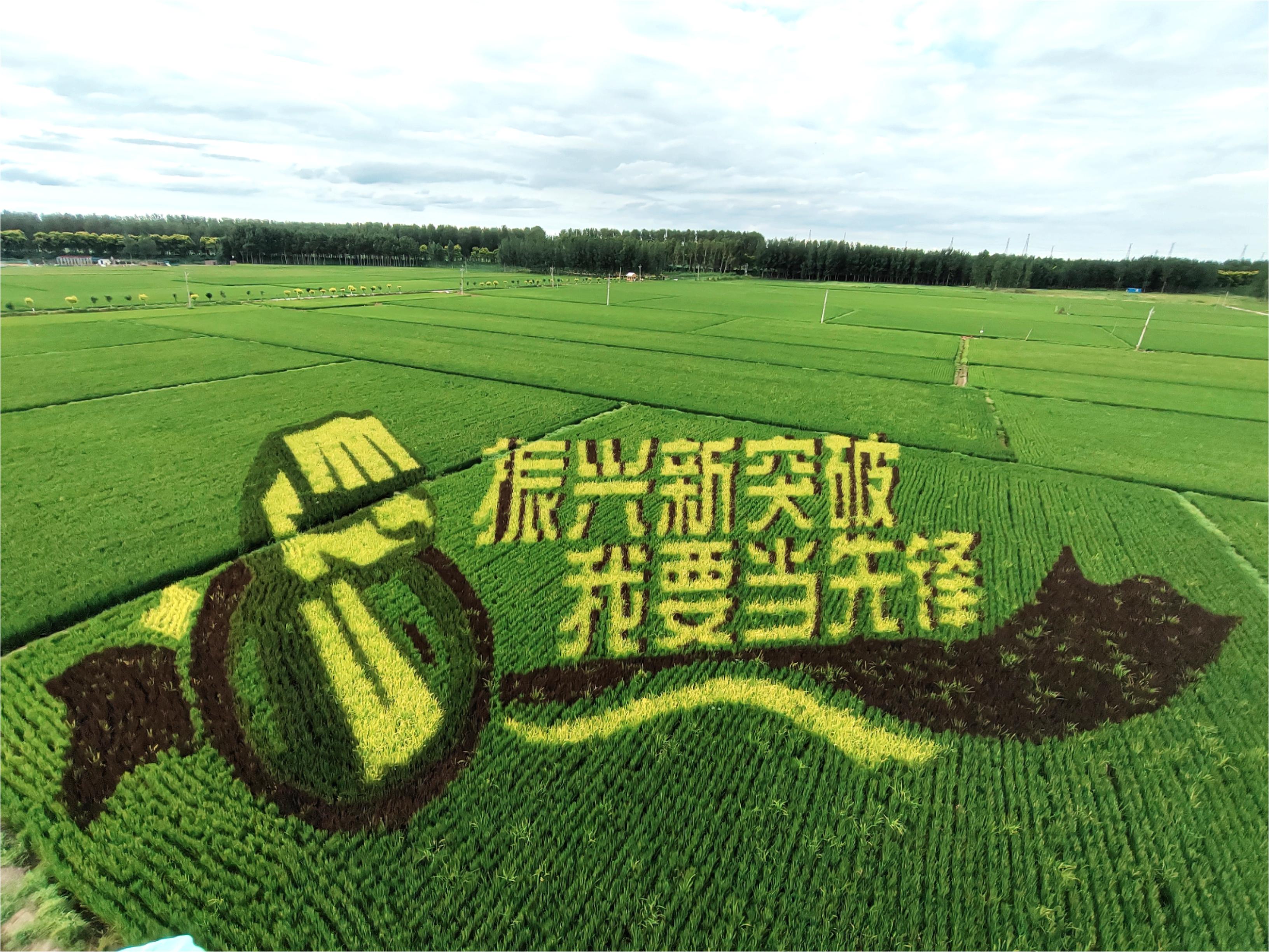 9001cc金沙以诚为本(中国)有限公司官网