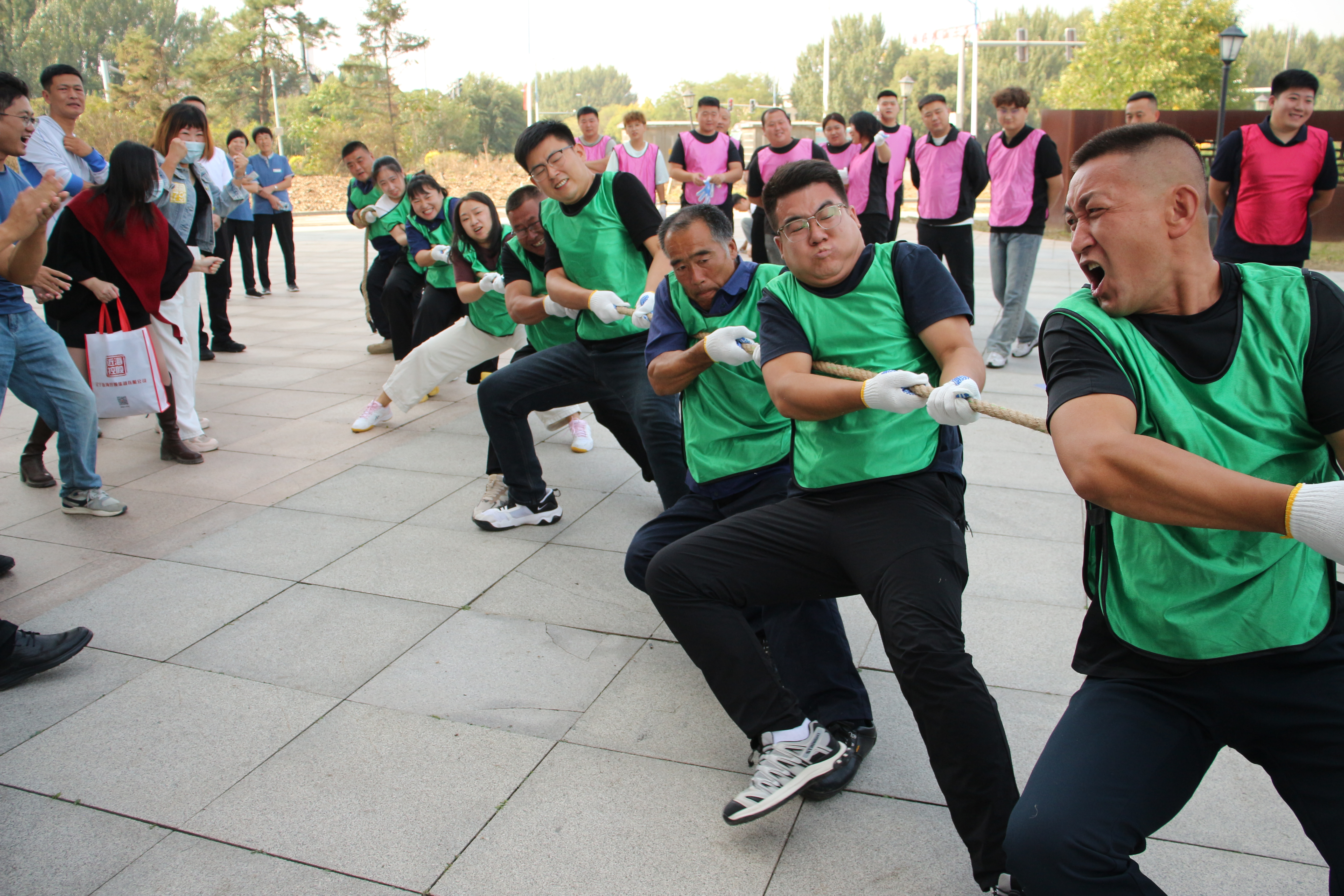 9001cc金沙以诚为本(中国)有限公司官网