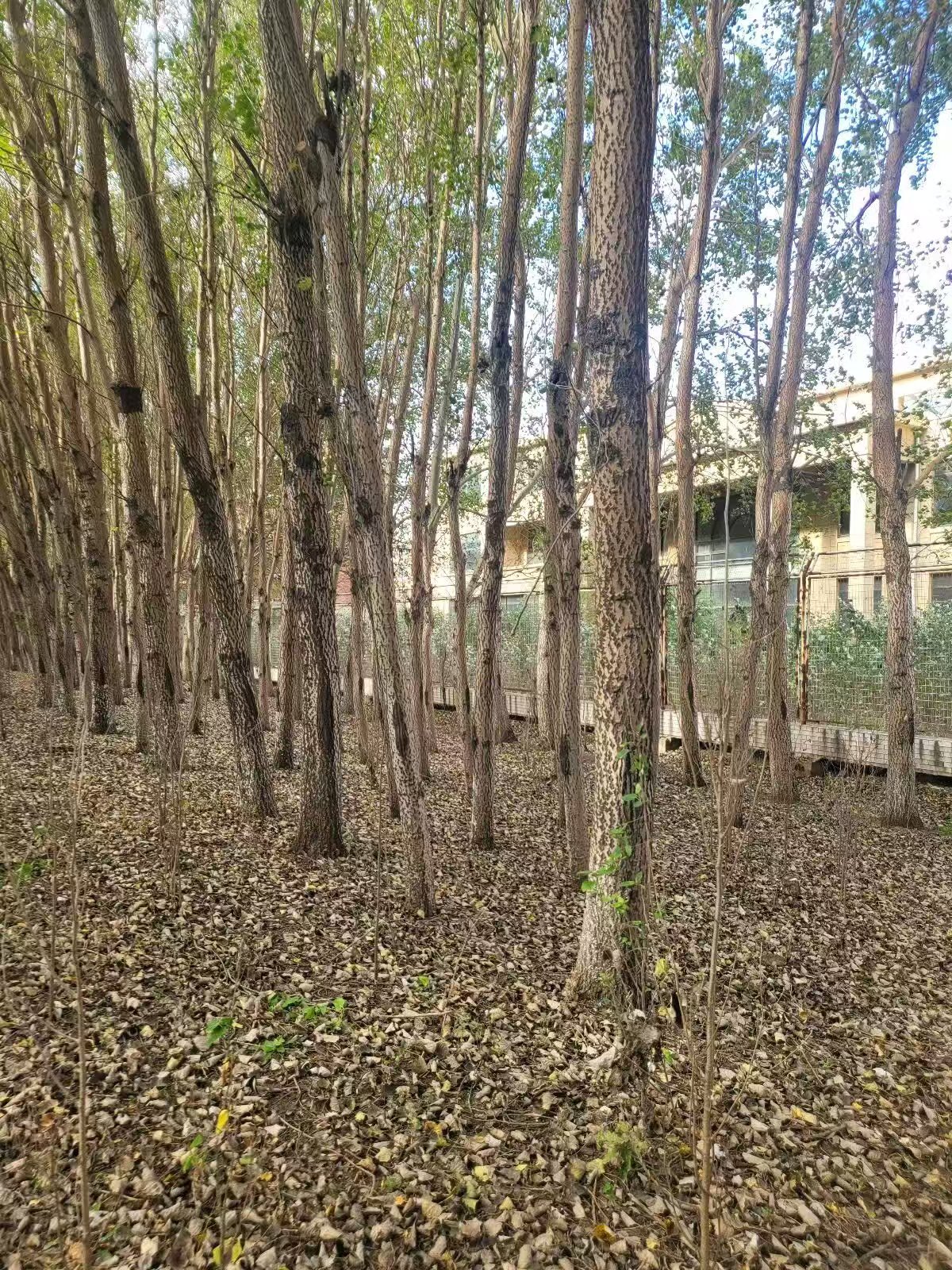 9001cc金沙以诚为本(中国)有限公司官网