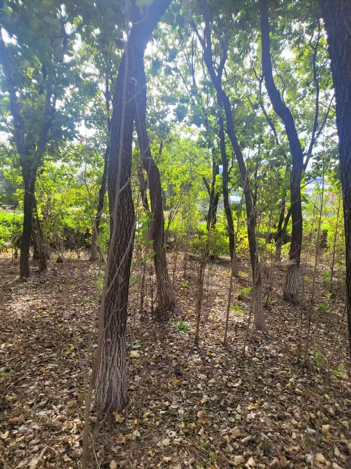 9001cc金沙以诚为本(中国)有限公司官网